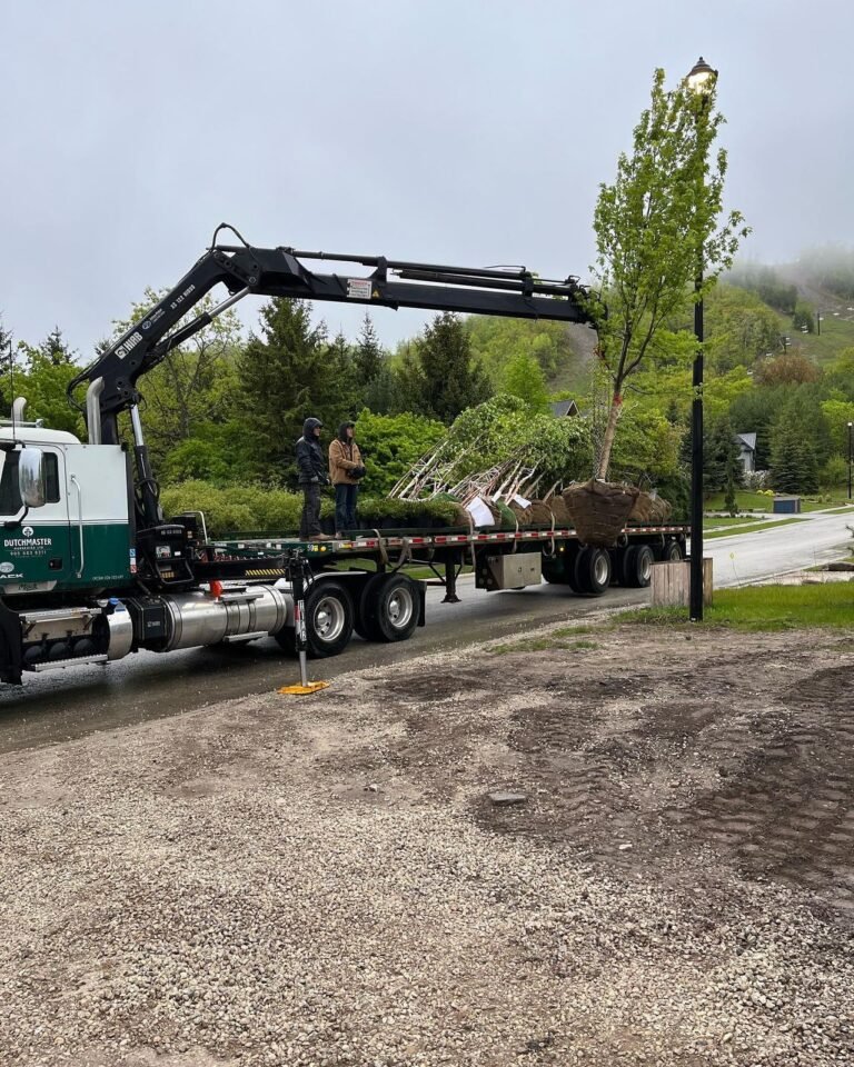 Planting trees. Thor Construction job photo.