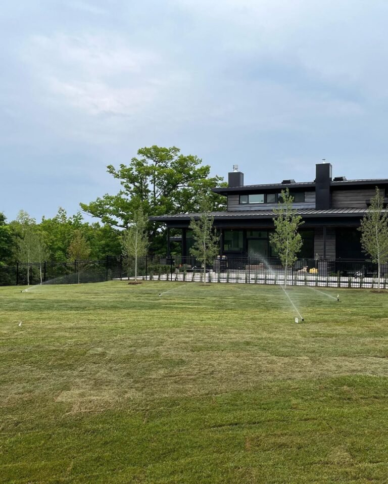 New sod, just in time for the party. Thor Construction job photo.
