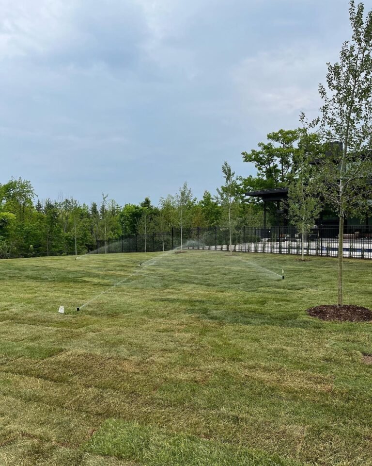 New sod, just in time for the party. Thor Construction job photo.