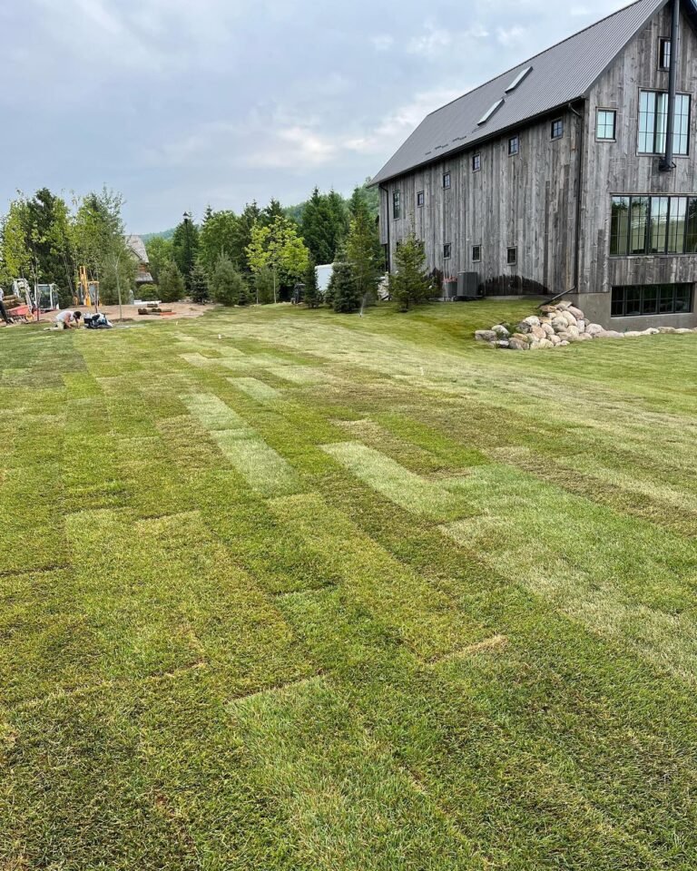 New sod, just in time for the party. Thor Construction job photo.