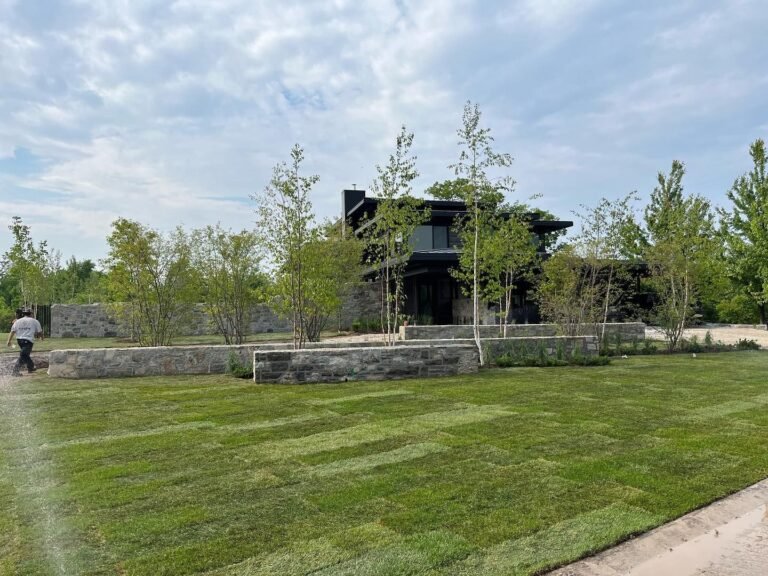 Front yard planting with birch and serviceberry. Thor Construction job photo.
