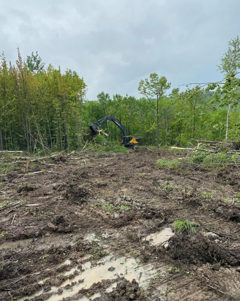 Land clearing for a custom home. Thor Construction job photo.