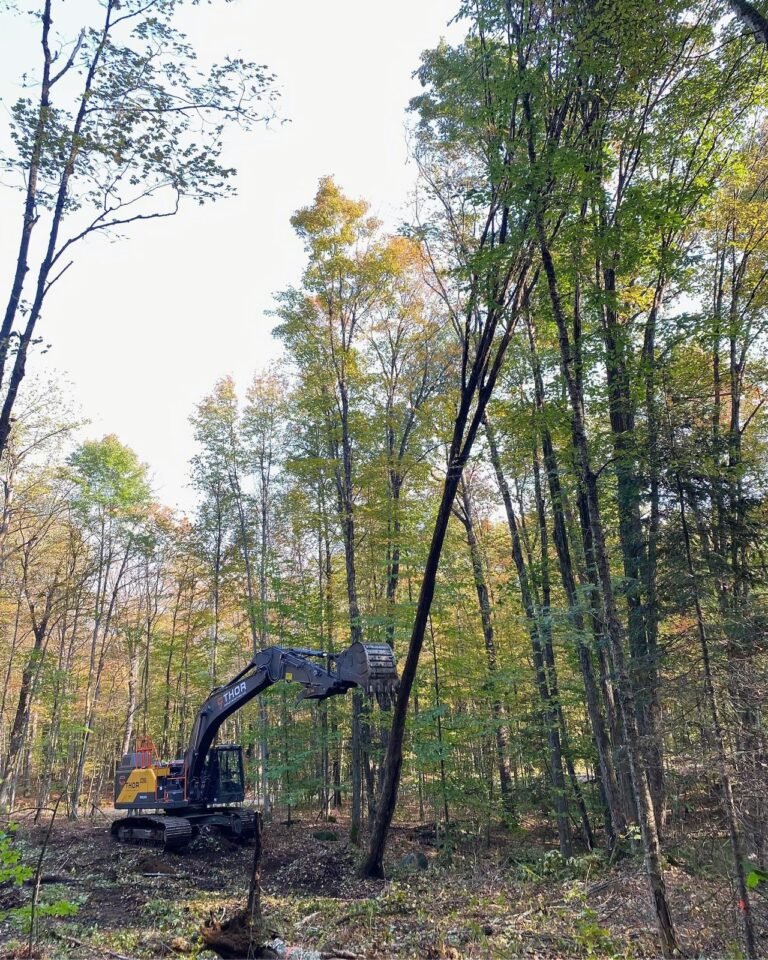 Land clearing for a custom log cabin, Minden. Thor Construction job photo.