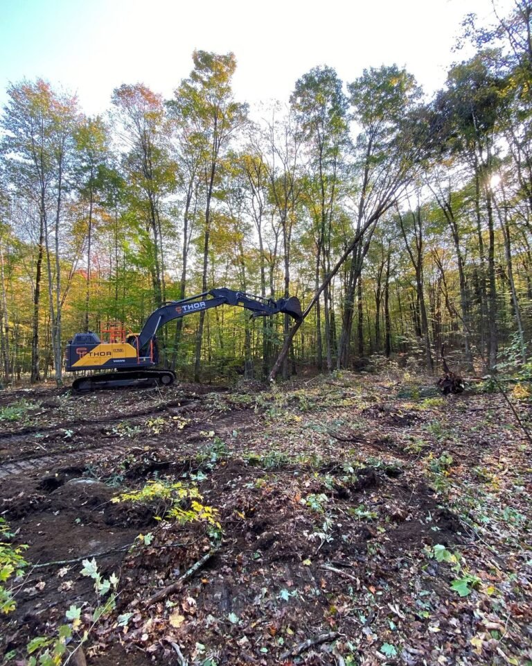 Land clearing for a custom log cabin, Minden. Thor Construction job photo.